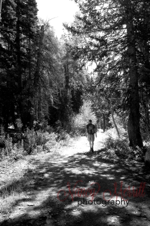 White Pine hike (B&W)